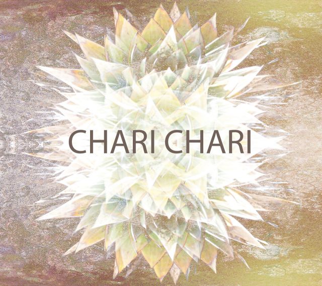 CHARI CHARI 