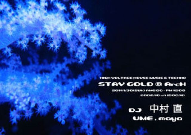 STAY GOLD