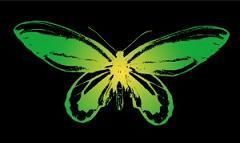BUTTERFLY EFFECT