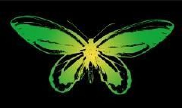 BUTTERFLY EFFECT