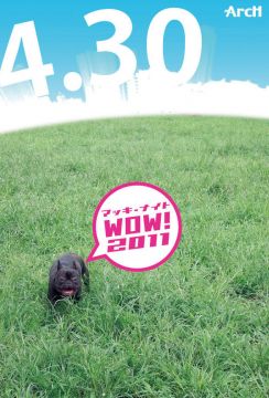 マッキーナイトWow! 2011