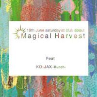 magical harvest