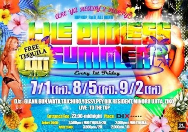 THE ENDLESS SUMMER NIGHT