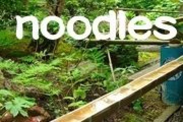 noodles