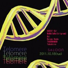 Telomere