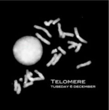 Telomere