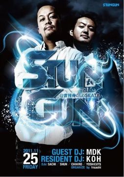 STUN GUN