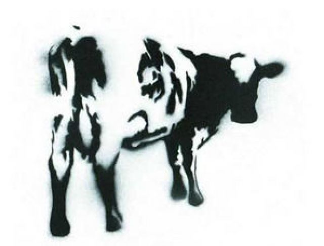 Physical Function "UNVERSAL INDIANN"