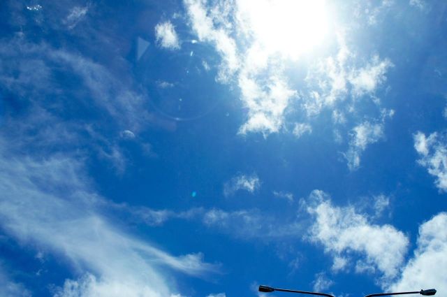 MOSTWANTED "Local Area" ～MOST MCS Free Downlord Start!!～