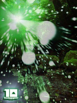 10-bagger & LIFETIMES+