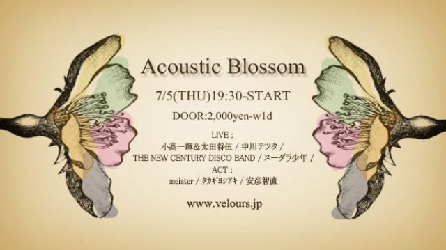 Acoustic Blossom