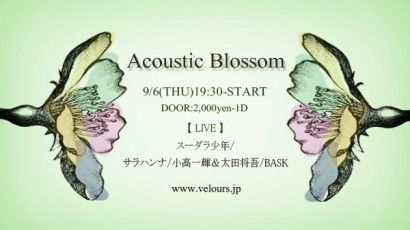Acoustic Blossom