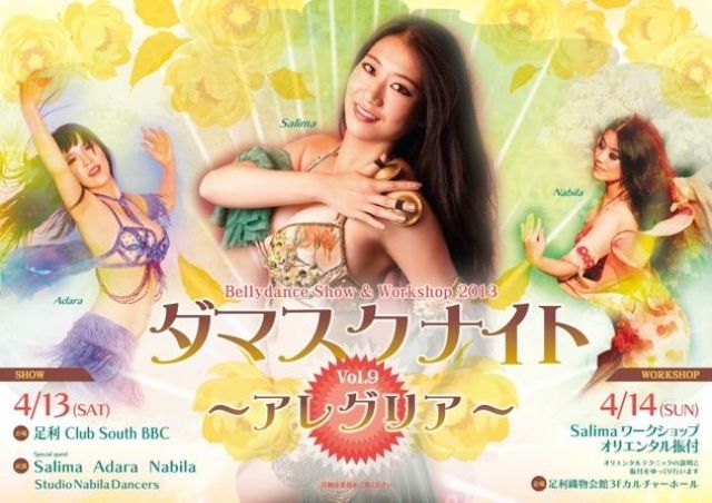 ダマスクナイト vol.9