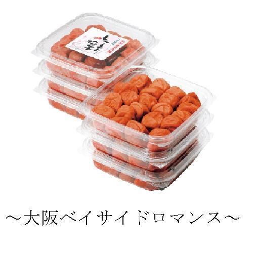 入場無料！飲食物持ち込み自由！第４日曜は[～大阪ベイサイドロマンス～]