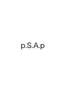p.S.A.p...Reborn