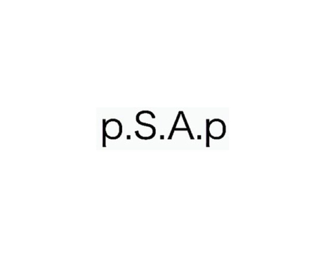 p.S.A.p...Reborn...Towards a dream