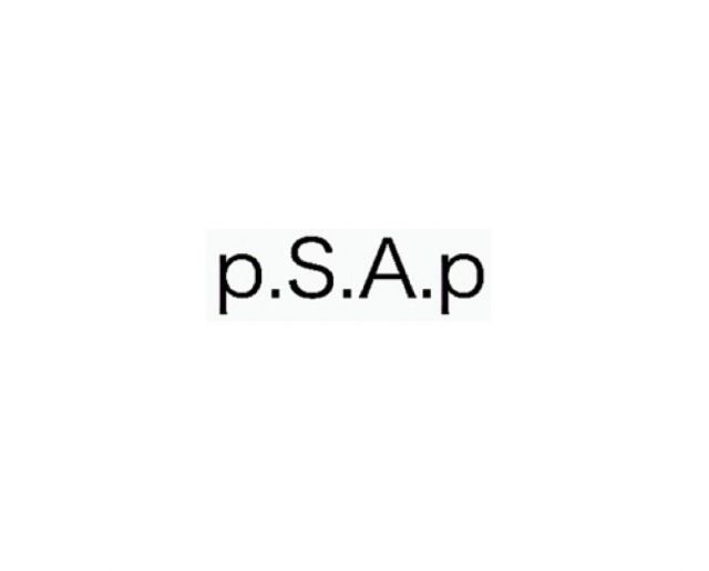 p.S.A.p...Reborn...Towards a dream