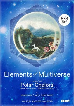 Elements of Multiverse