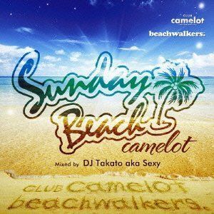 Sunday Beach camelot supported by beachwarkers.