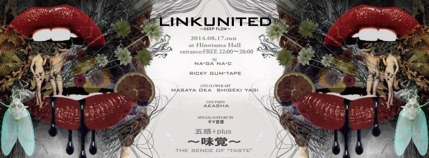 LINK UNITED