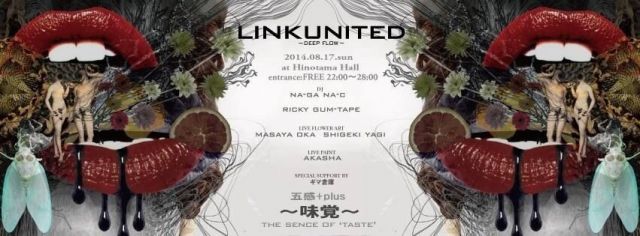 LINK UNITED