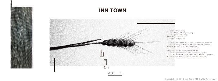 INN TOWN Volume. 3