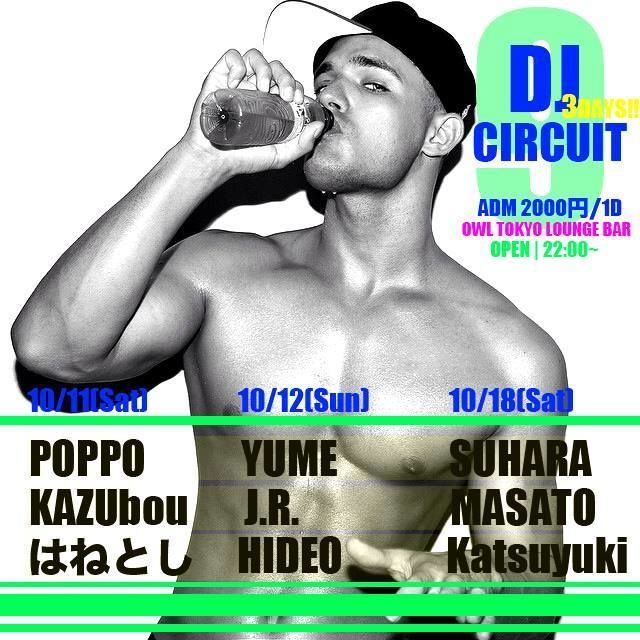 OWL DJ CIRCUIT 