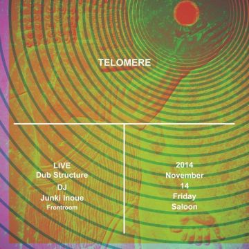 Telomere