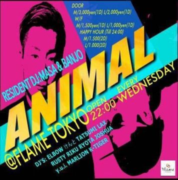 ANIMAL