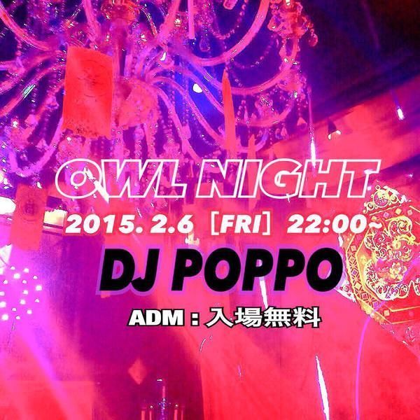 〓 OWL NIGHT 〓