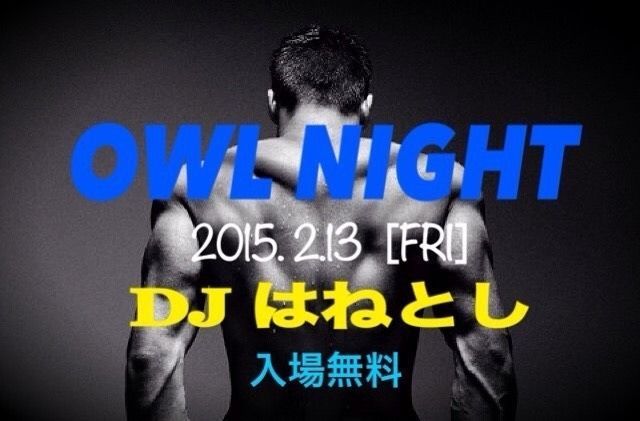 〓 OWL NIGHT 〓