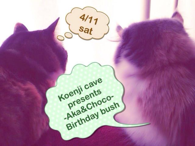 Koenji cave presents -Aka & Choco-