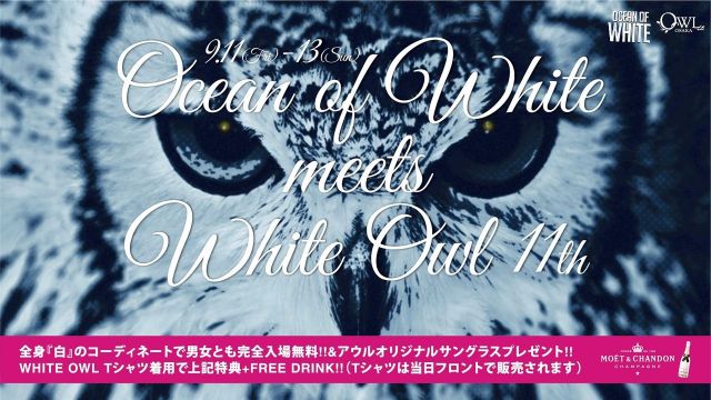 OCEAN OF WHITE meets WHITE OWL 11th 【LADY 2 LOVE】