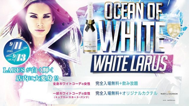  OCEAN OF WHITE – WHITE LARUS 【HOME】