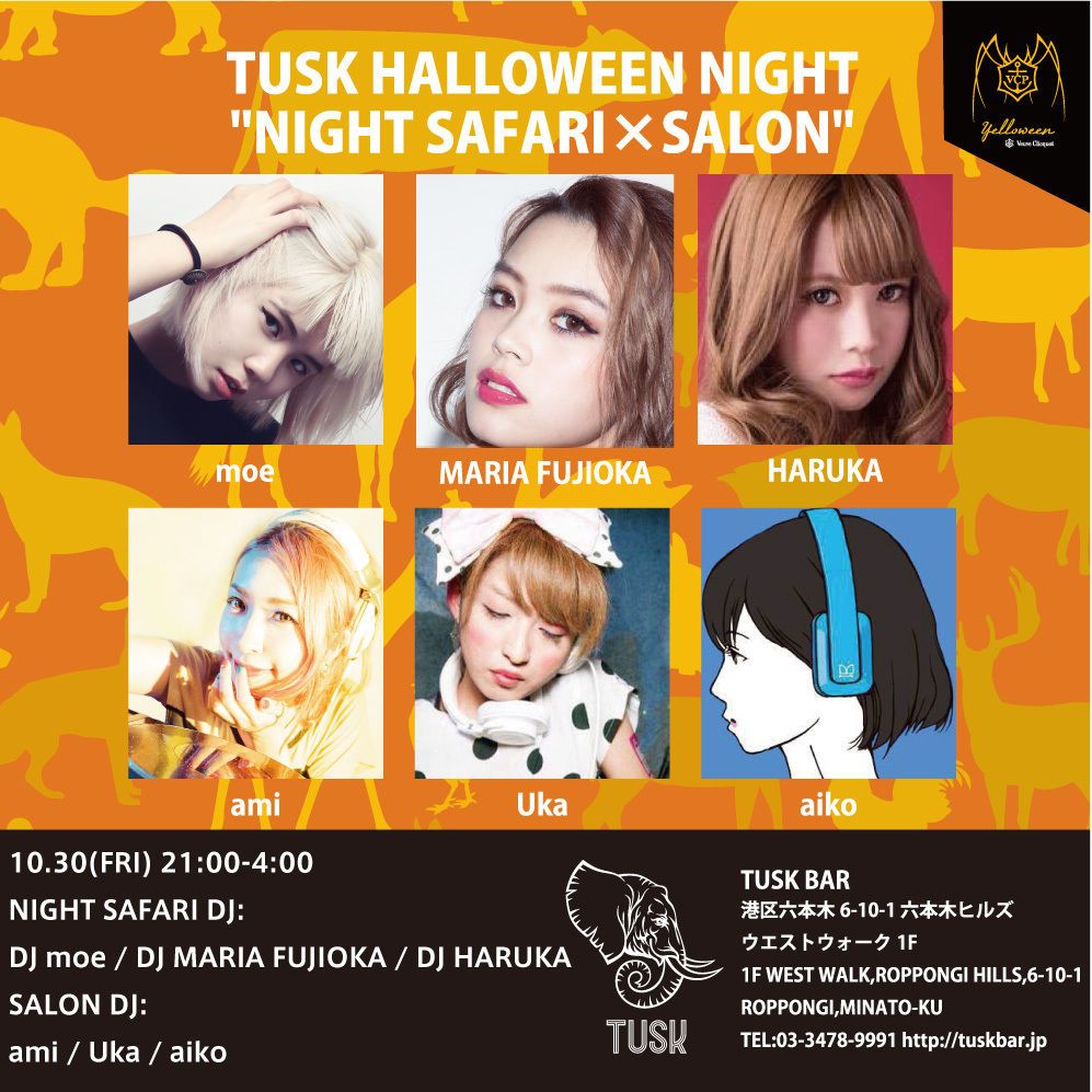 NIGHT SAFARI×SALON