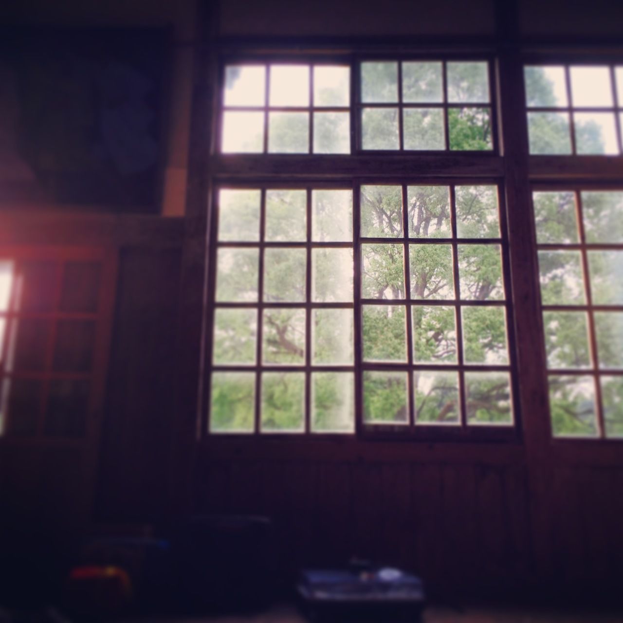 Forest Is Felt in Kawanabe