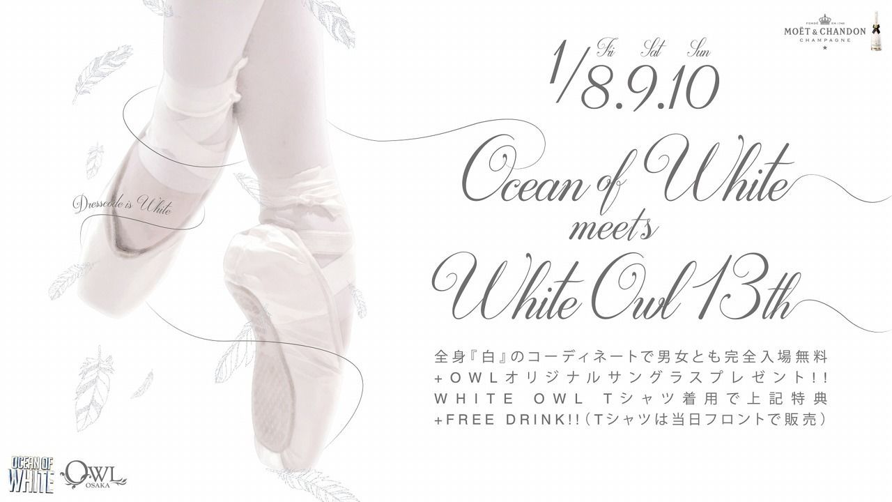 【LADY 2 LOVE】 OCEAN OF WHITE meets WHITE OWL 13th