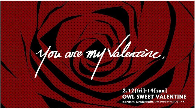 【LADY 2 LOVE】 OWL SWEET VALENTINE