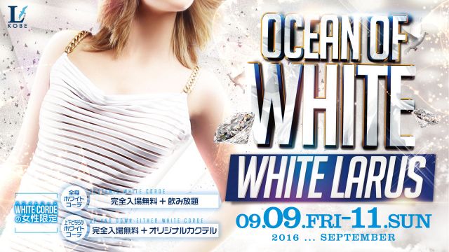 HOME / OCEAN OF WHITE – WHITE LARUS