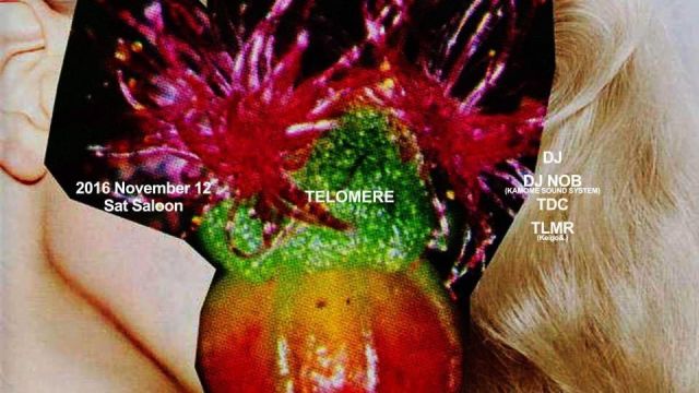 TELOMERE