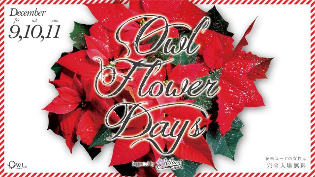  【 FIESTA / SPACE JAM 】 OWL FLOWER DAYS 