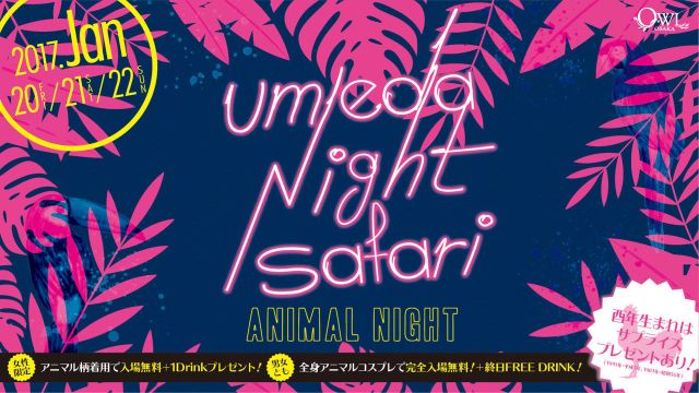 【 LADY 2 LOVE / NEST 】 / UMEDA NIGHT SAFARI