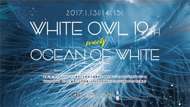  【 FIESTA / SPACE JAM 】 / WHITE OWL 