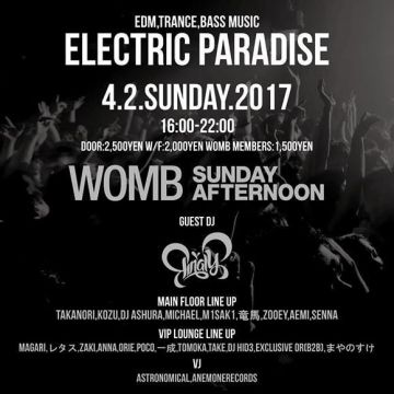 ELECTRIC PARADISE 