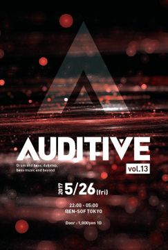 Auditive Vol.13