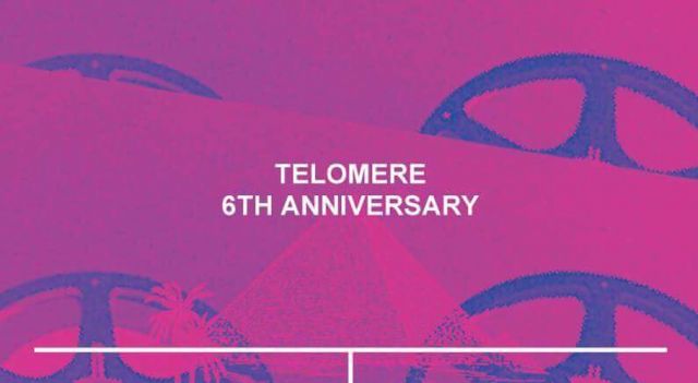 Telomere 6th anniversary