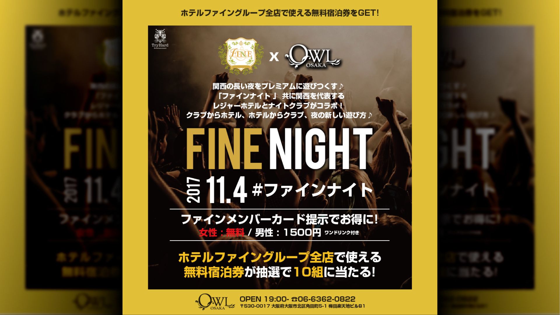 FINE NIGHT /  Check the Groovy / EFFECT 】 