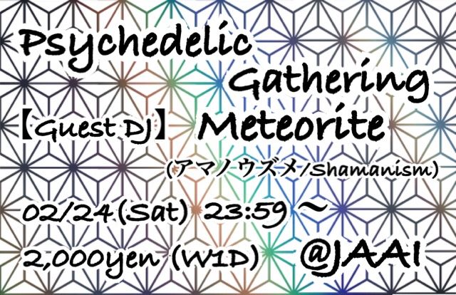 Psychedelic Gathering