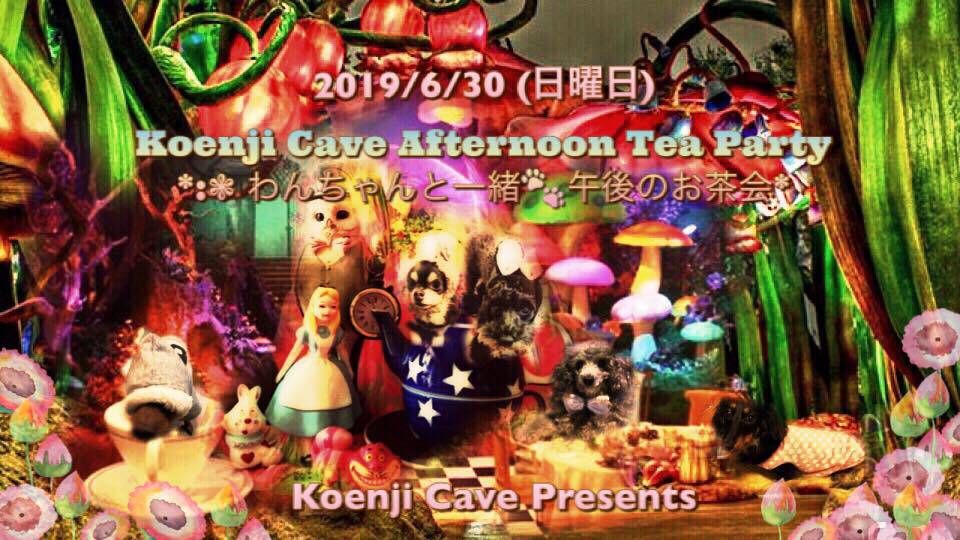 Koenji Cave Afternoon Tea Party *.ﾟわんちゃんと一緒 午後のお茶会*.ﾟ
