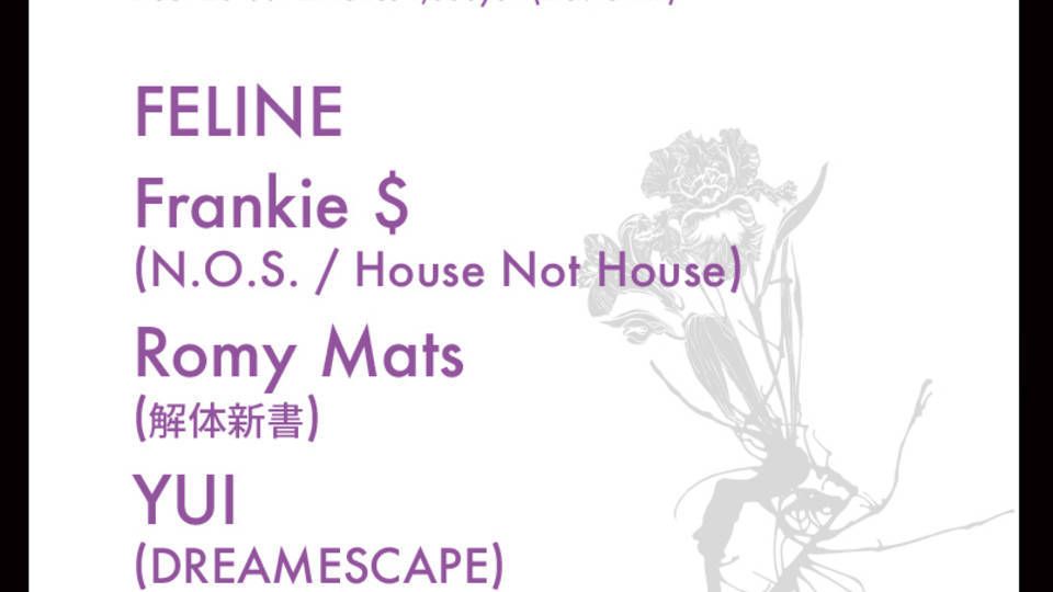 Azumaya -Friday-